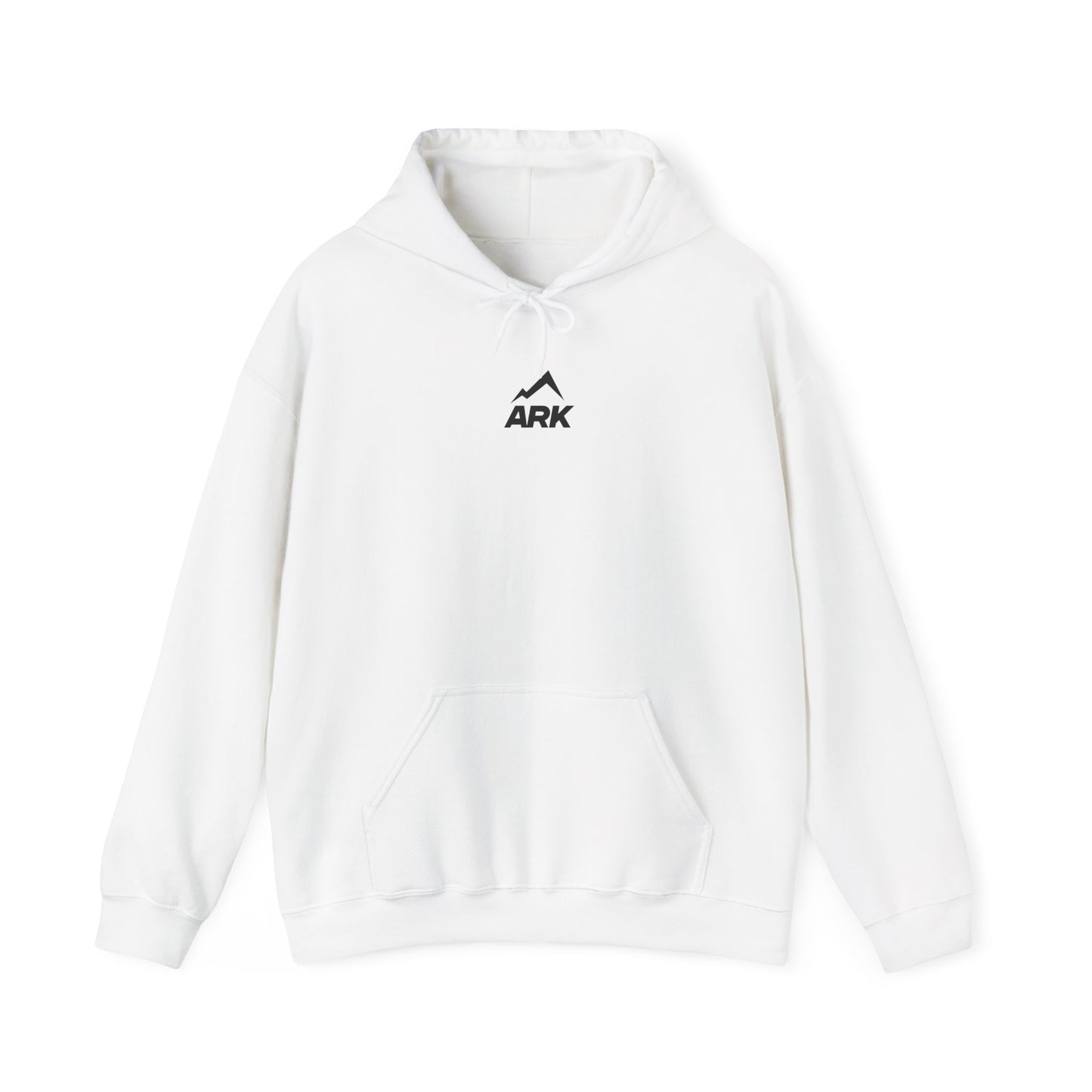 Ark Hoodie "Through the Storm"