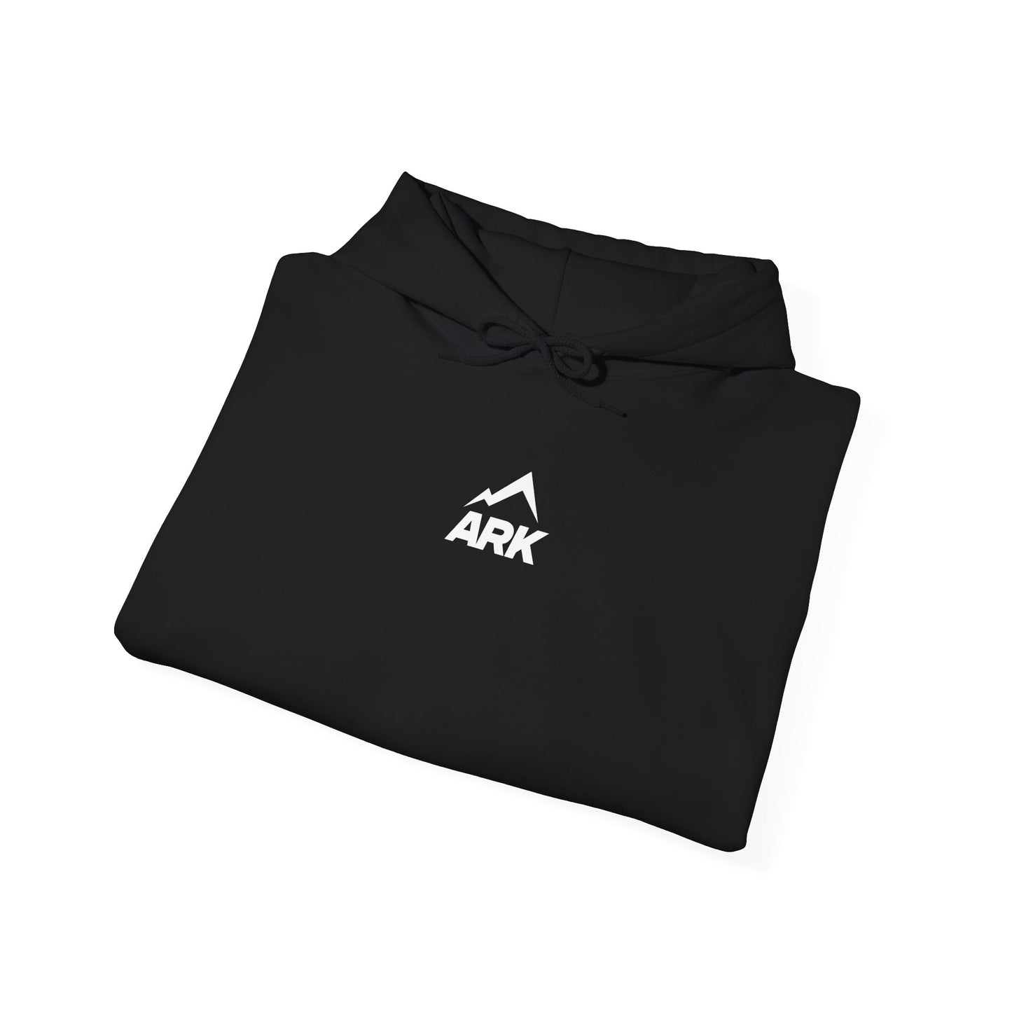 Ark Hoodie "Through the Storm"