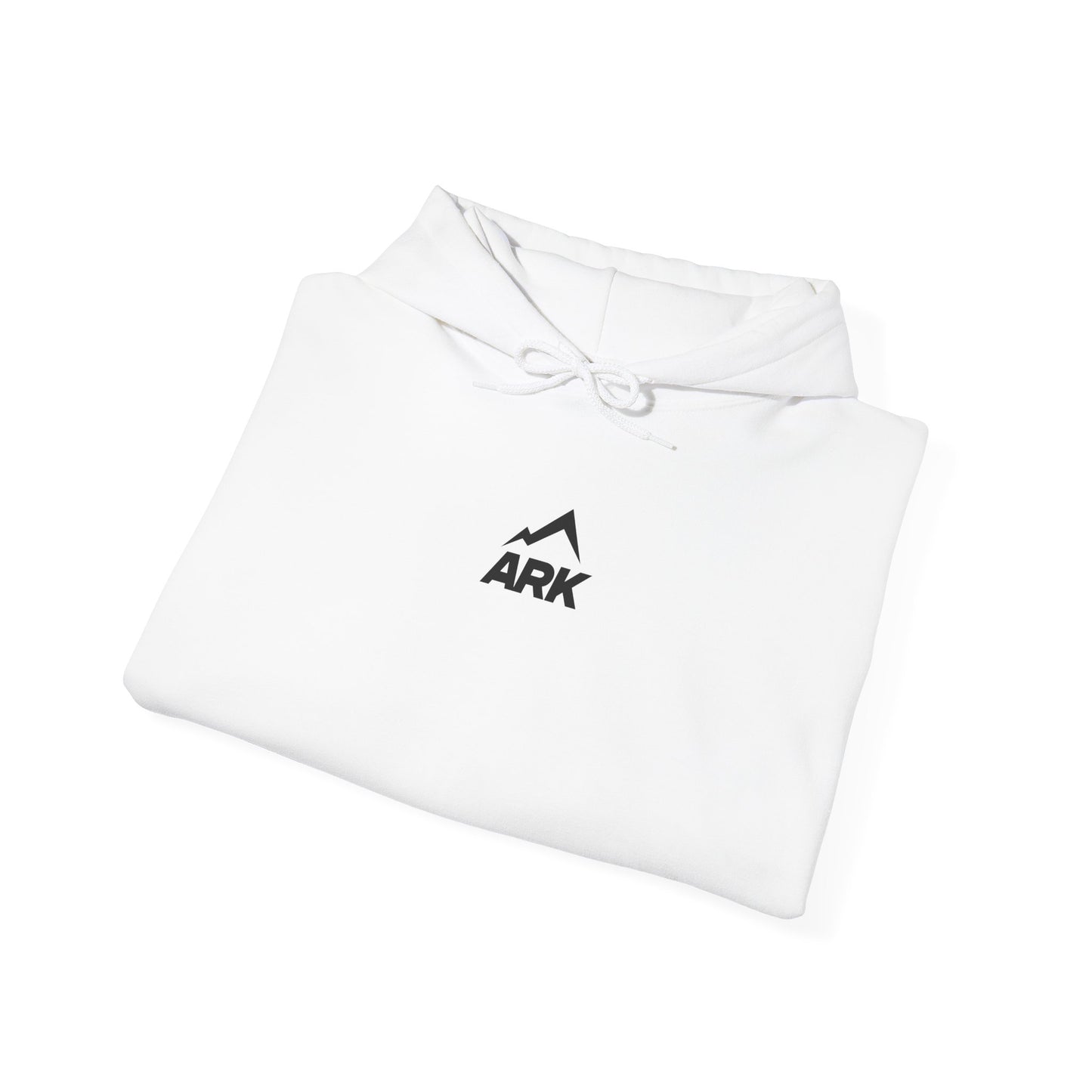 Ark Hoodie "Through the Storm"